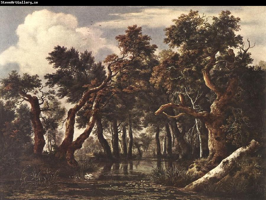 Jacob van Ruisdael The Marsh in a Forest